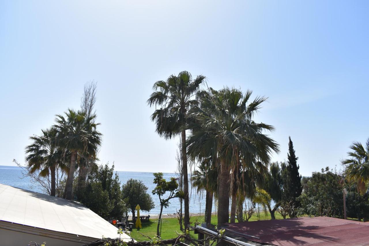 Andreas & Melanie Beach Hotel Governors Beach Exterior foto